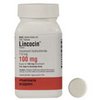 canadian-pharmacy-world-Lincocin canadian-pharmacy-world-Lincocin